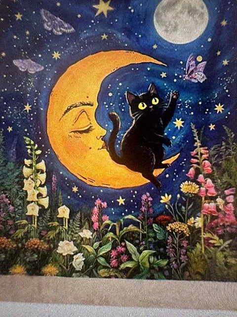 Moon Black Cat Starry Night Wildflowers Flannel Blanket 50x60